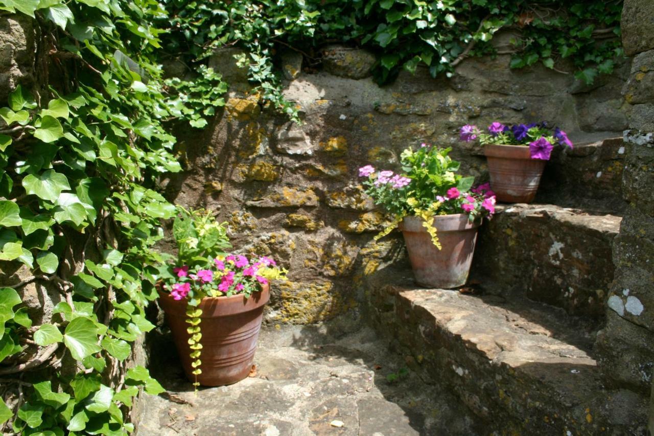 The Cottage Абътсбъри Екстериор снимка